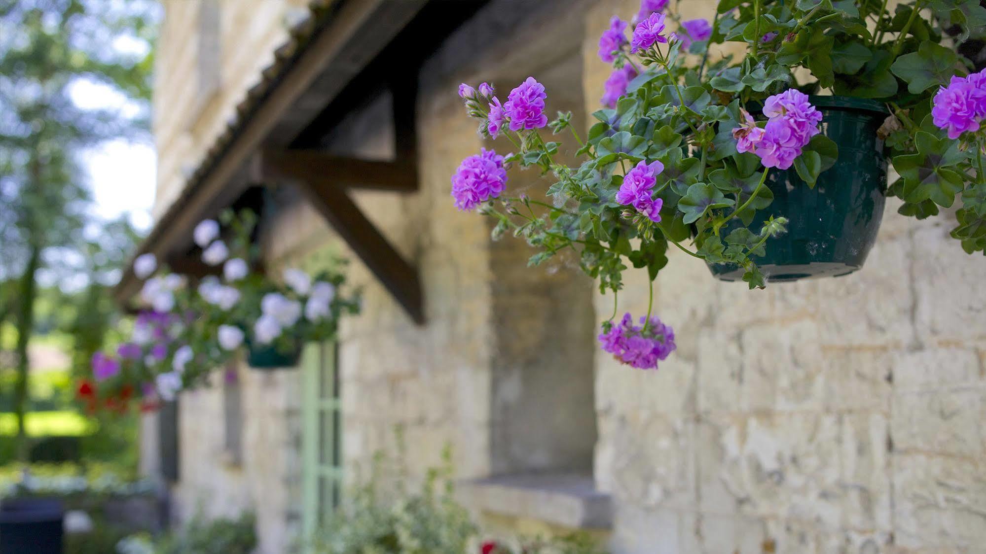 Hotel Moulin De Mombreux Lumbres Exterior foto